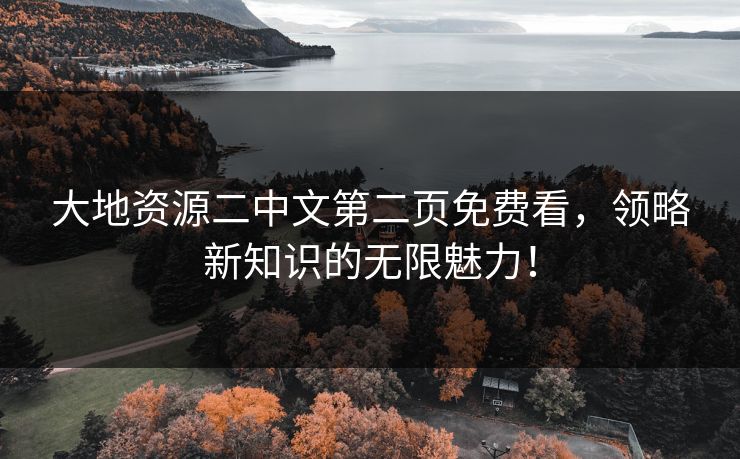 大地资源二中文第二页免费看，领略新知识的无限魅力！